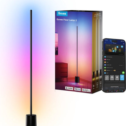 Govee Floor Lamp 2